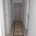 Bela * Тирана